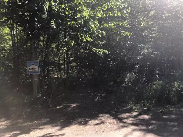 Bowerbank, ME 04426,0 Flag Cove Road RD