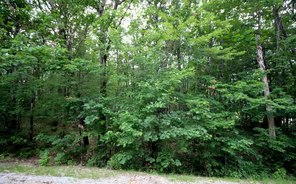 Waterboro, ME 04061,Lot 861 Ridgeway CIR