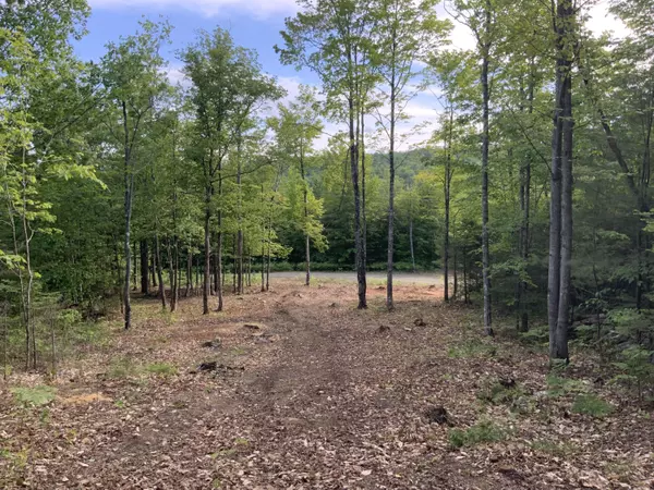 Phillips, ME 04966,Lot 4 Mooseley Ridge RD
