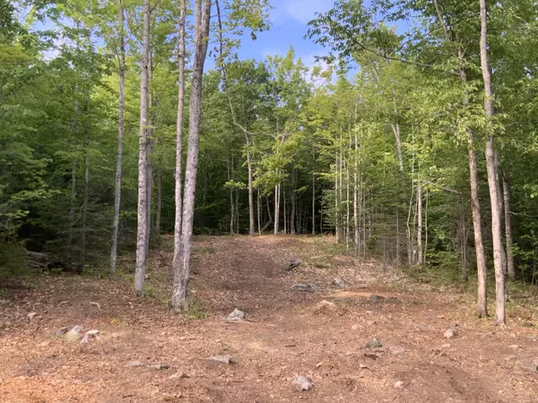 Phillips, ME 04966,Lot 4 Mooseley Ridge RD