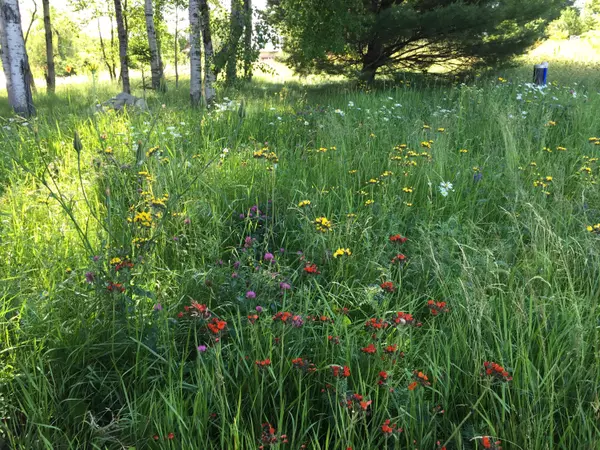 Liberty, ME 04949,23 Pinnacle RD