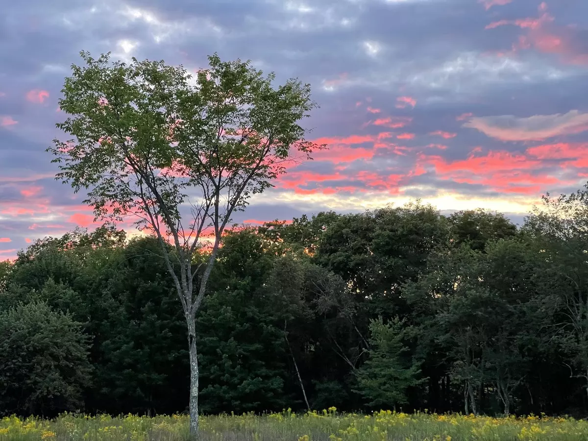 Liberty, ME 04949,23 Pinnacle RD