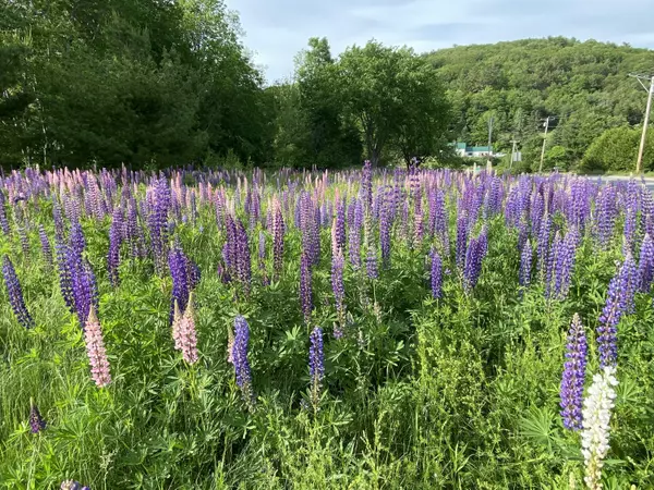 Liberty, ME 04949,23 Pinnacle RD