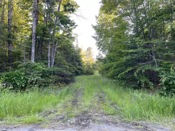 Atkinson, ME 04426,367 Maple RD