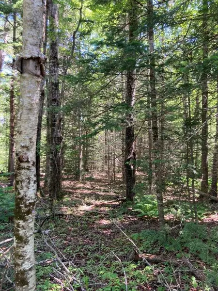 00 Moons Ledges RD, Hancock, ME 04640