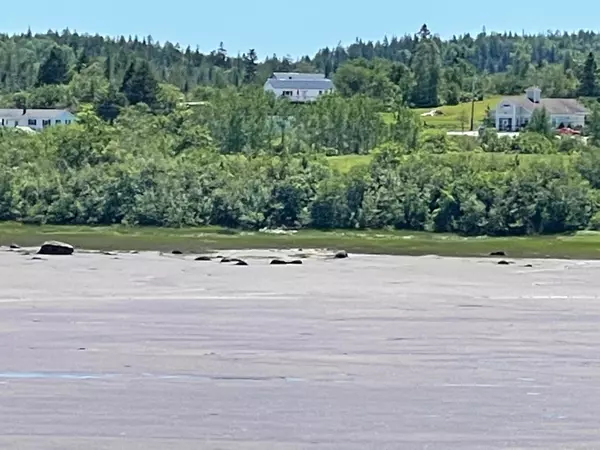 Machiasport, ME 04655,722 Port Road