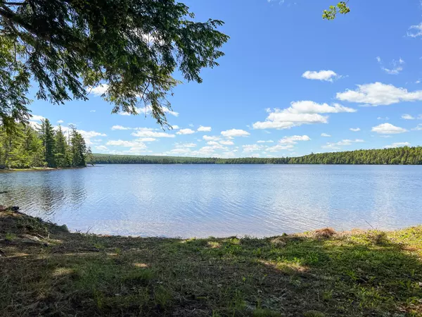 Princeton, ME 04668,TBD Clifford Lake Road