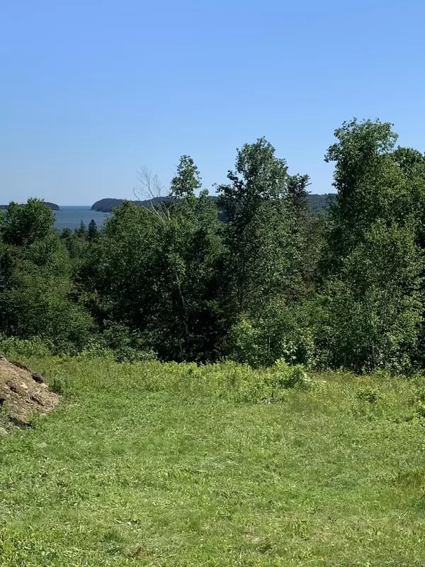 Machiasport, ME 04655,310 E East Side RD