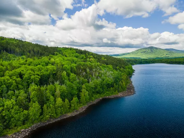 Lynchtown Twp, ME 04970,M2L8 Parmachenee Rd RD