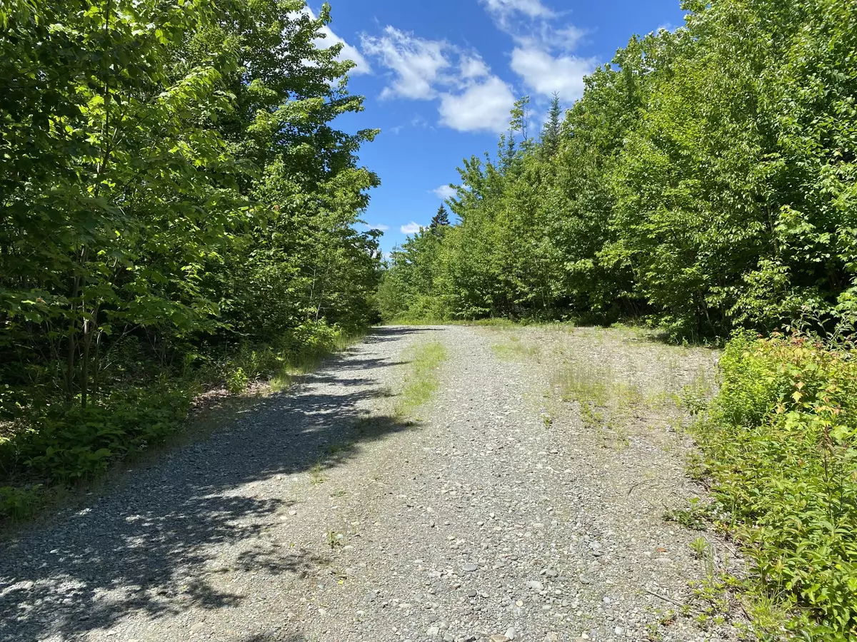 Cutler, ME 04626,Lot3 Bog Brook LN