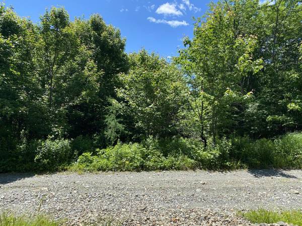 Cutler, ME 04626,Lot3 Bog Brook LN