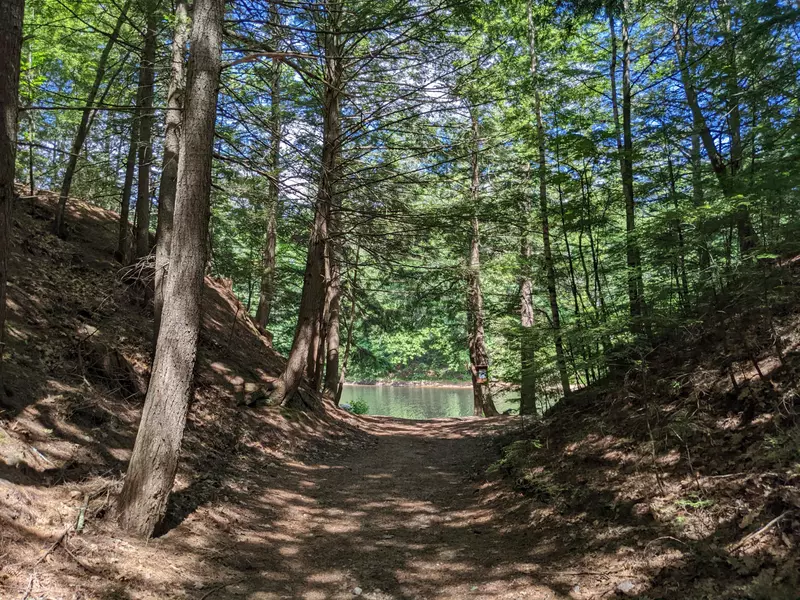 52 Wilderness LN, Hiram, ME 04041