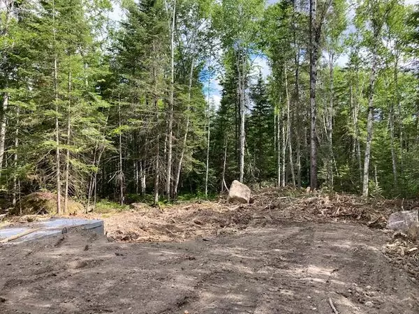 Rangeley Plt, ME 04970,Lot 23 Woodcock LN