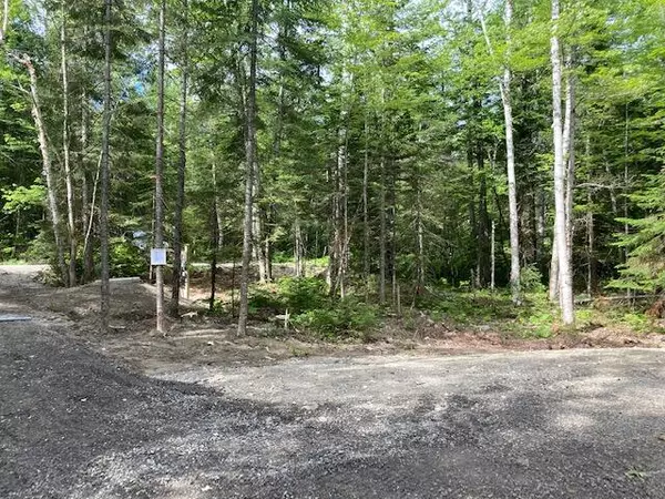 Rangeley Plt, ME 04970,Lot 23 Woodcock LN