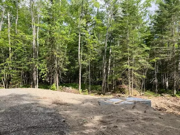 Rangeley Plt, ME 04970,Lot 23 Woodcock LN