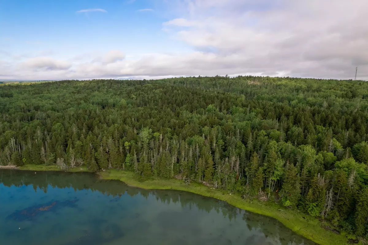 Steuben, ME 04680,56-6 Floyds WAY