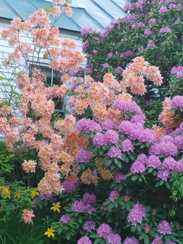 Waterville, ME 04901,20 Edgewood ST