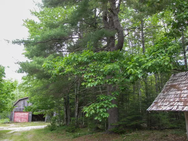 Northfield, ME 04654,2692 Northfield Road