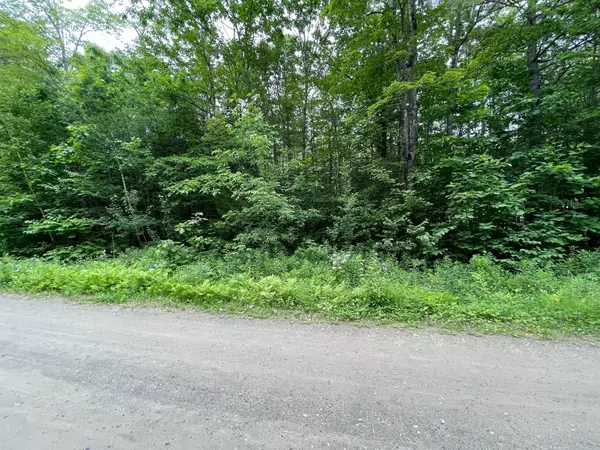 Newport, ME 04953,L 3A-1 Canadian Geese Drive