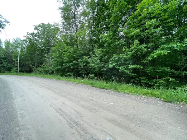 Newport, ME 04953,L 3A-1 Canadian Geese Drive