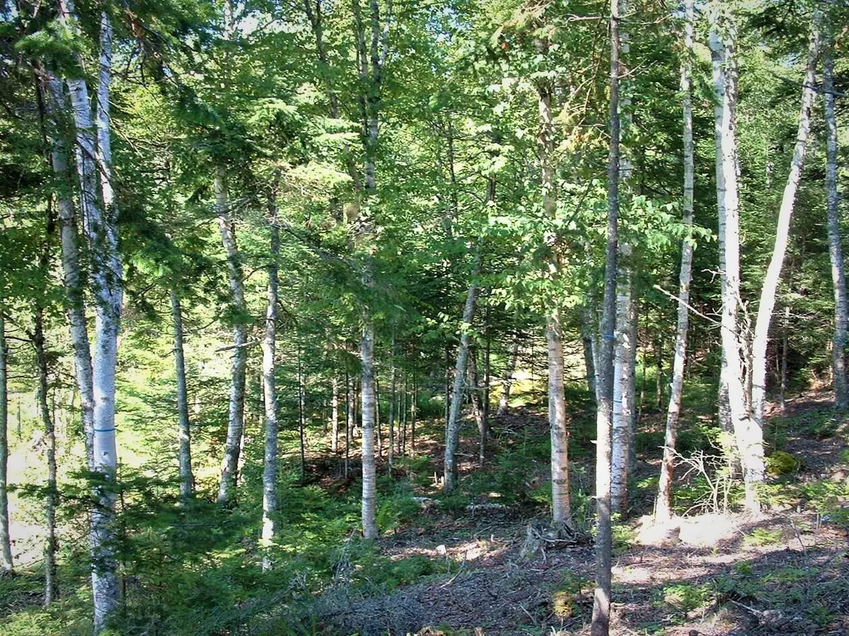 Roque Bluffs, ME 04654,Lot  1B Duck Cove RD