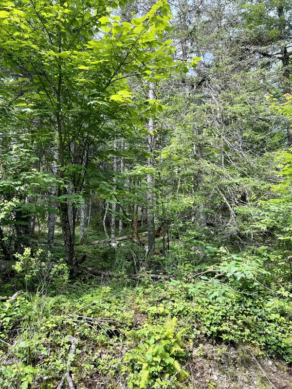 Roque Bluffs, ME 04654,Lot 1B Duck Cove RD