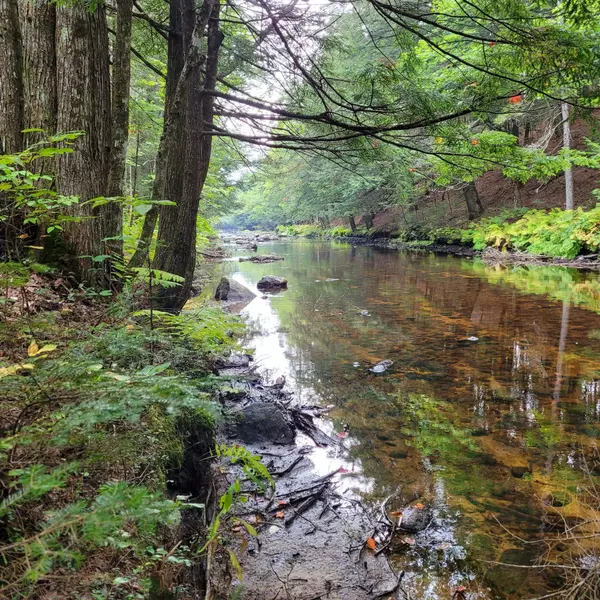 TBD1 Sumner RD, Buckfield, ME 04220