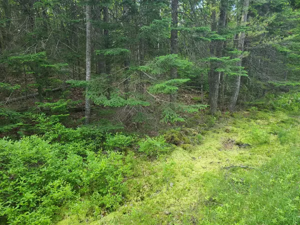 Westport Island, ME 04578,14.14B Cove Side WAY