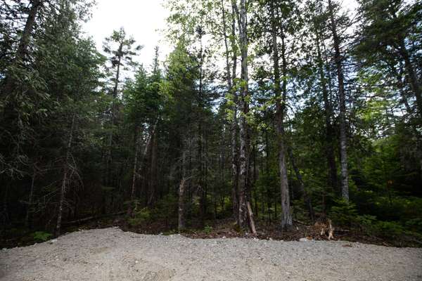 0 Forest LN, Surry, ME 04684