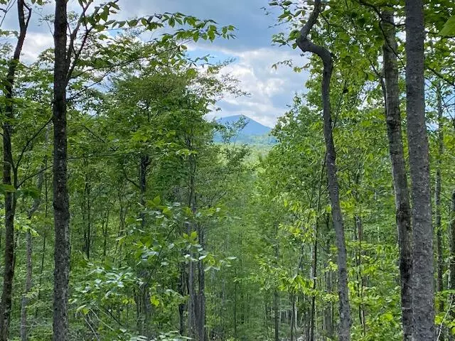 Kingfield, ME 04947,Lot 2 Iron Bridge RD