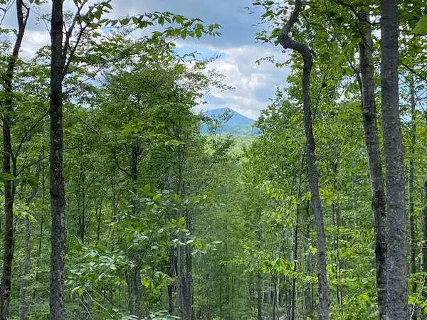 Lot 2 Iron Bridge RD, Kingfield, ME 04947