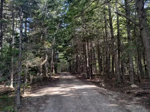 Wesley, ME 04686,Lot 420 Deer Haven Subdivision