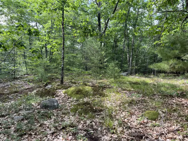 Lyman, ME 04002,TBD Rollins RD