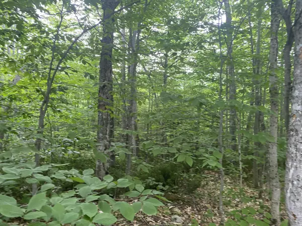 New Sweden, ME 04762,21 Stockholm RD