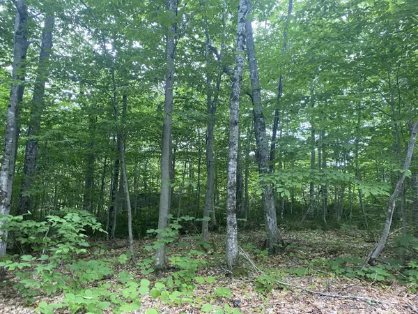 New Sweden, ME 04762,21 Stockholm RD