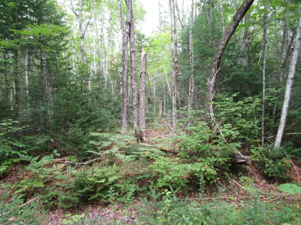 Maxfield, ME 04448,TBD Randall Ridge