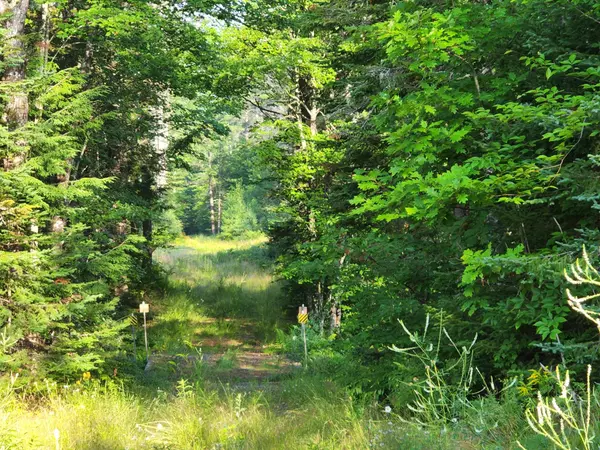 Oxford, ME 04268,R12 L22 New Harrison RD