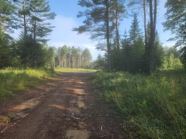 Oxford, ME 04268,R12 L22 New Harrison RD