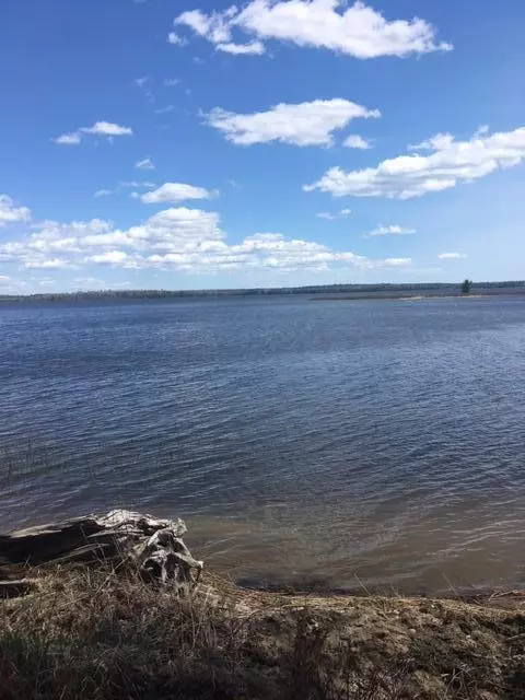 Mariaville, ME 04605,60 & 77 Whitmore RD