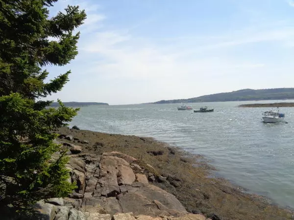 Milbridge, ME 04658,657 Tom Leighton PT