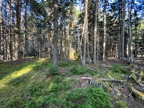 00 Fifield Point RD, Stonington, ME 04681