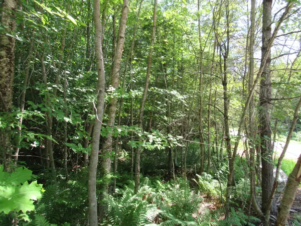 New Gloucester, ME 04260,TBD 1 Jack Hall Rd