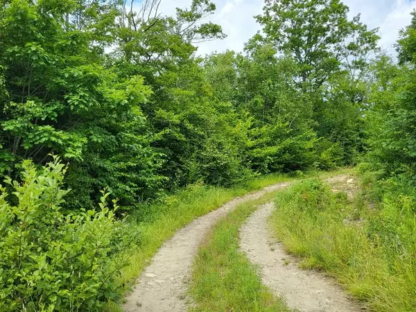 Wilton, ME 04924,M32 L012- D8 -2 Lyle Hall RD