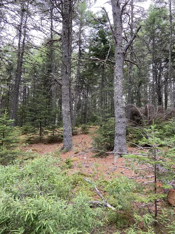 0 Parker Farm Road, Somesville, Mount Desert, ME 04660