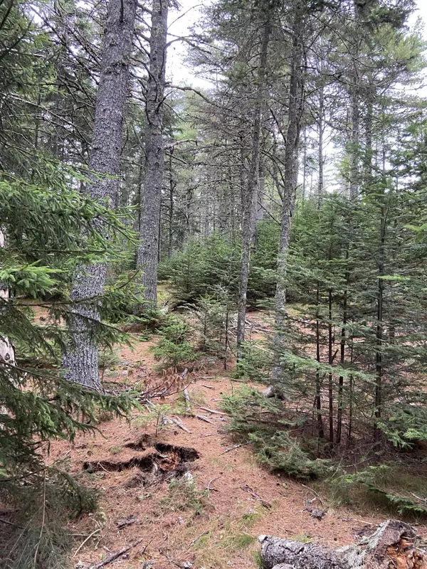 Mount Desert, ME 04660,0 Parker Farm Road, Somesville