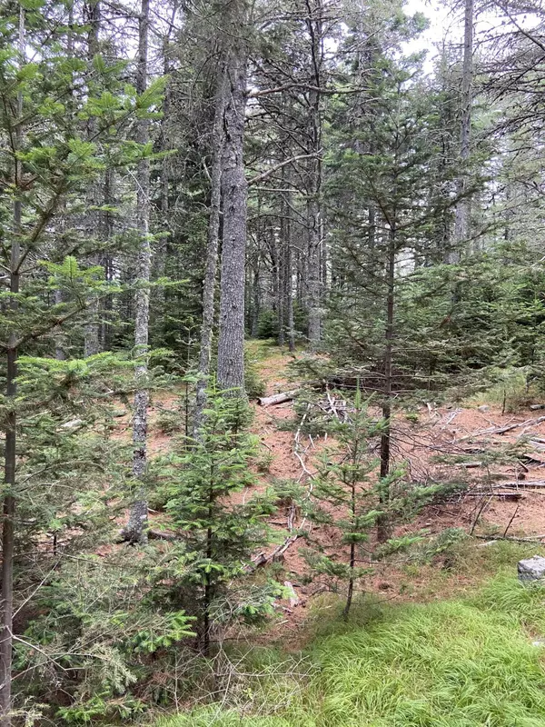 Mount Desert, ME 04660,0 Parker Farm Road, Somesville