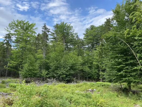 Freeport, ME 04032,28 Hawk Hill LN