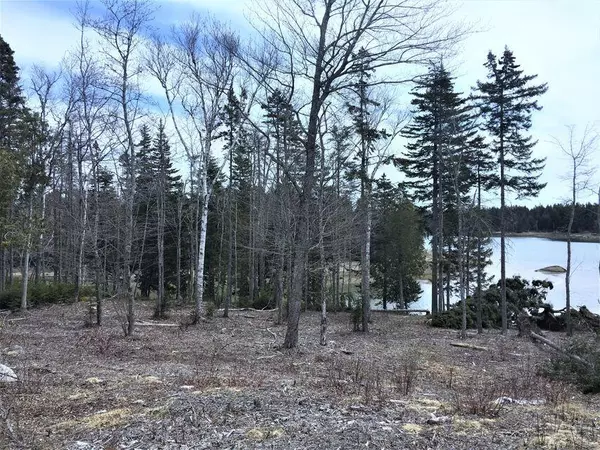 Steuben, ME 04680,Lot 13 Stillwater DR