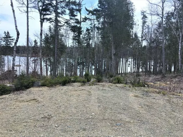 Steuben, ME 04680,Lot 13 Stillwater DR