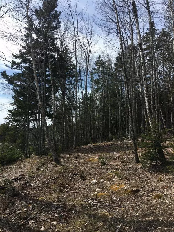 Steuben, ME 04680,Lot 14 Stillwater DR